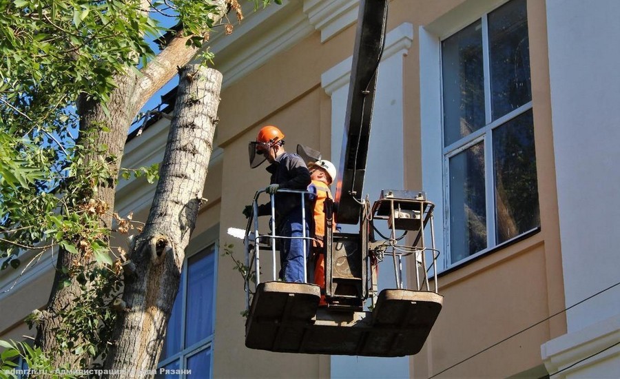 Proje Bazlı Sepetli Vinç